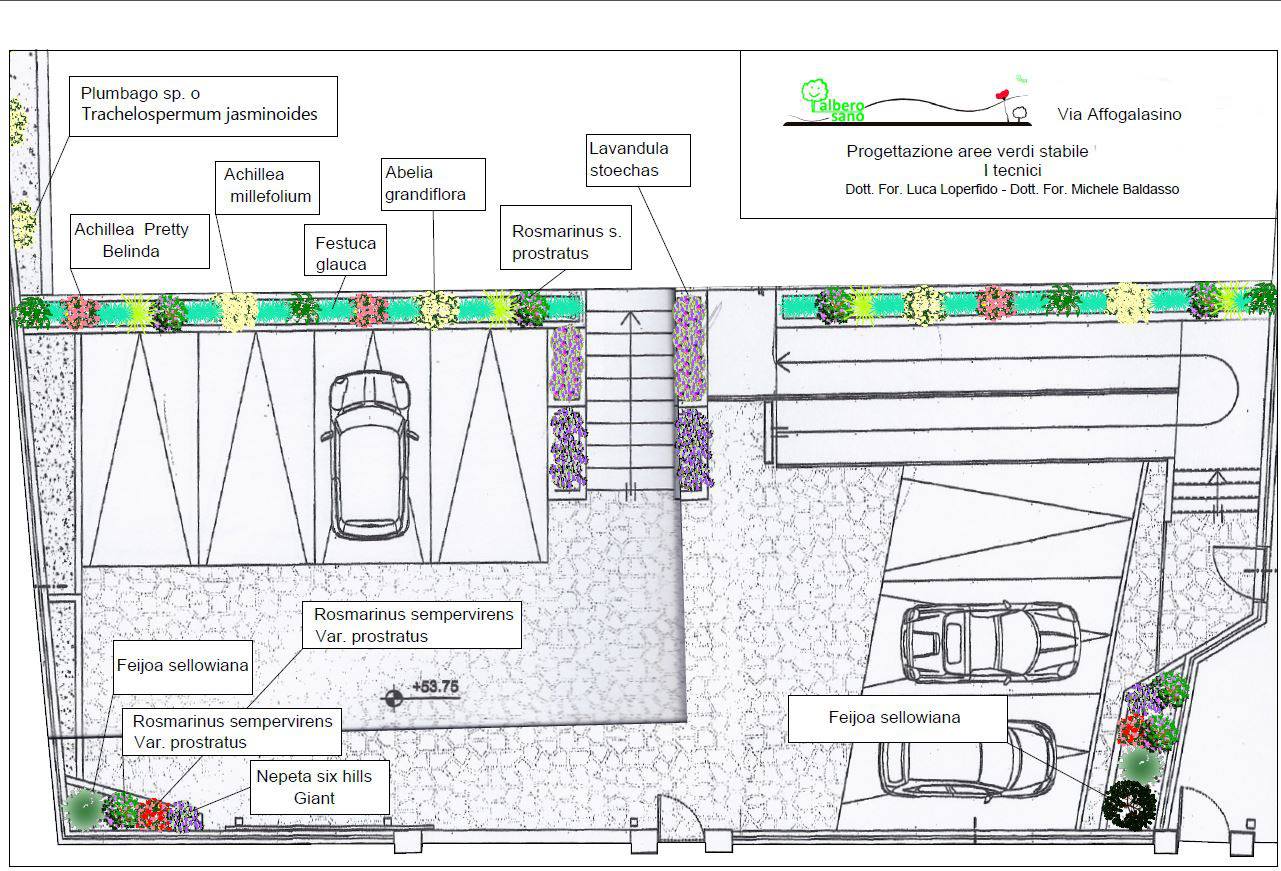 progetto
