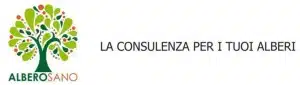 banner 1